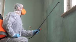 Mold Odor Removal Services in Murphy, TX